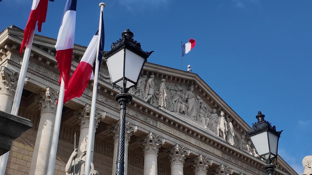 Quel est le rôle du Conseil économique, social et environnemental (Cese) ?