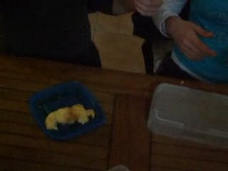 Gobage de Flan Celia & Pauline au CE Bois de Soeuvres