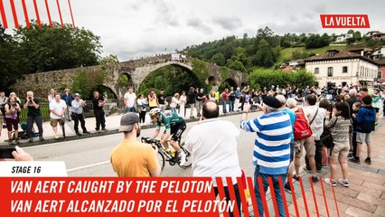 Van Aert caught by the peloton  - Stage 16 - La Vuelta 2024