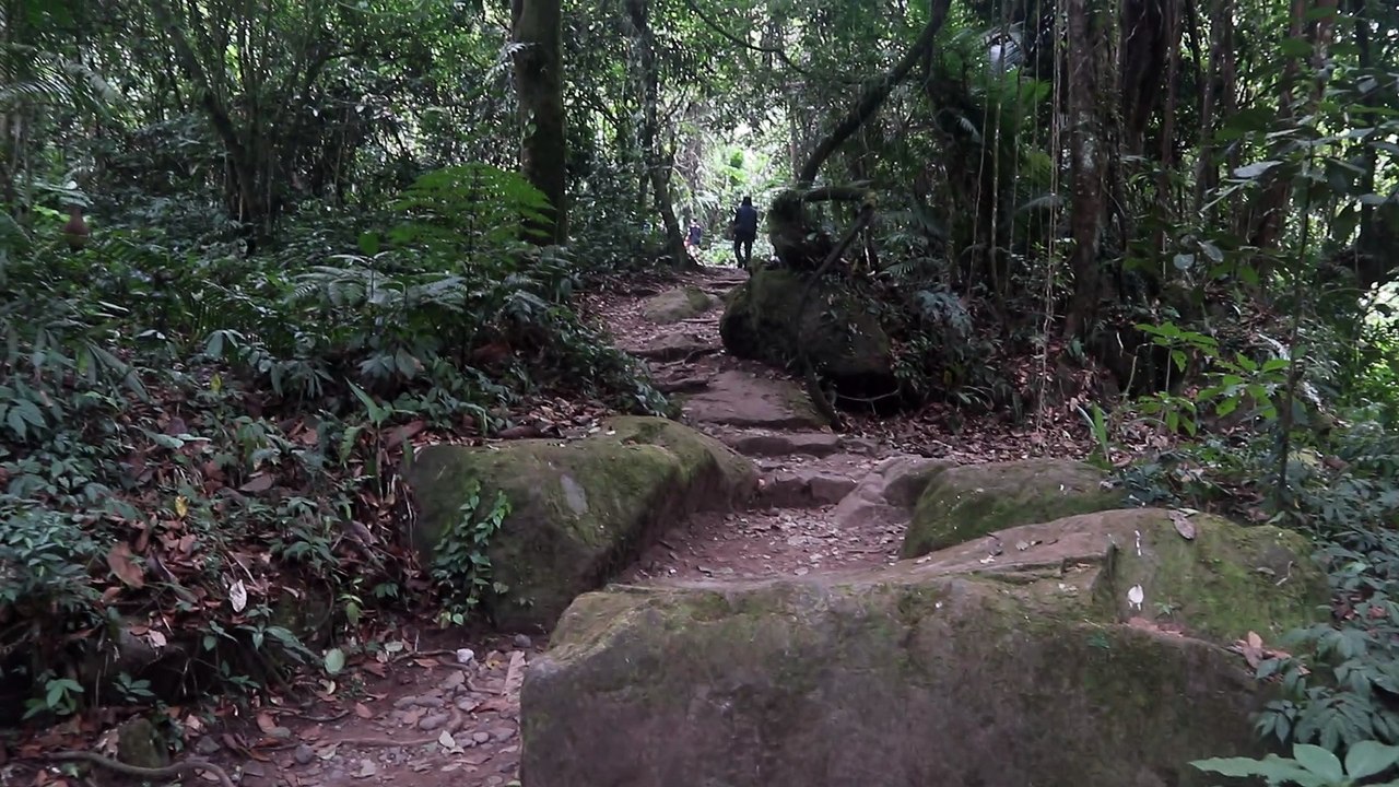 Walkway View