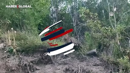 Doğada eşine az rastlanıyor! Karabük'te ortaya çıktı