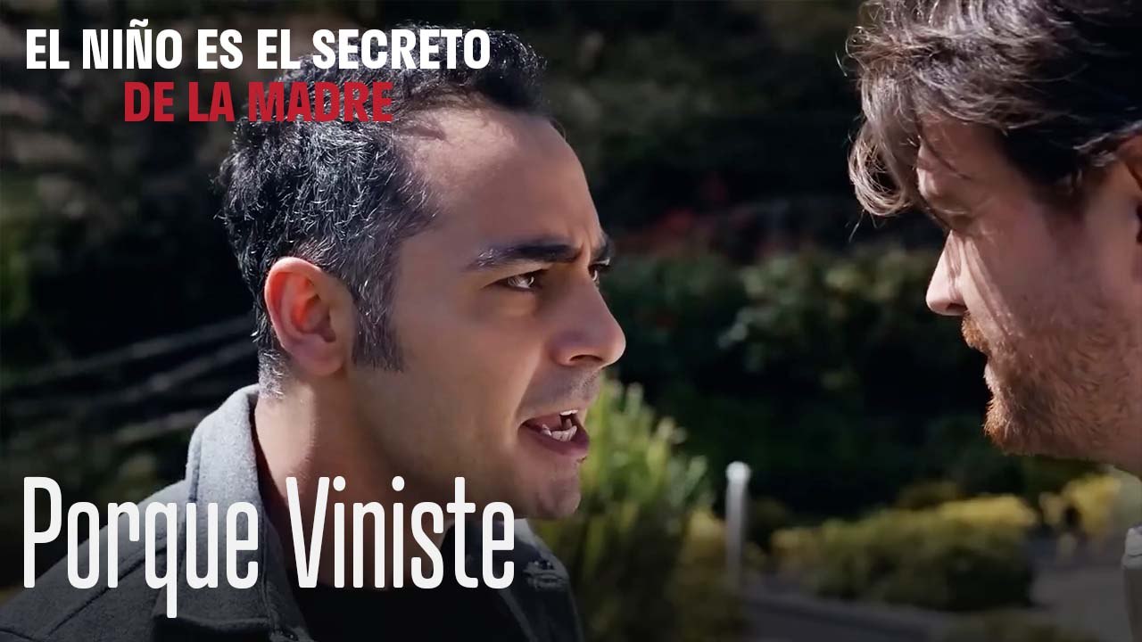 Porque Viniste