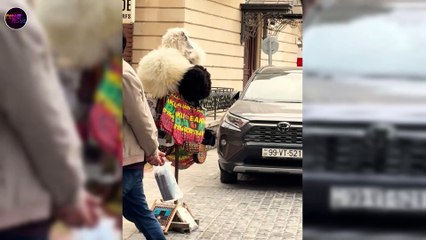 Old City Baku Azerbaijan in 2024