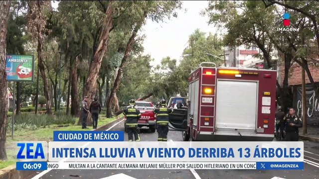 La intensa lluvia y rachas de viento provocaron la caída de 13 árboles en CDMX