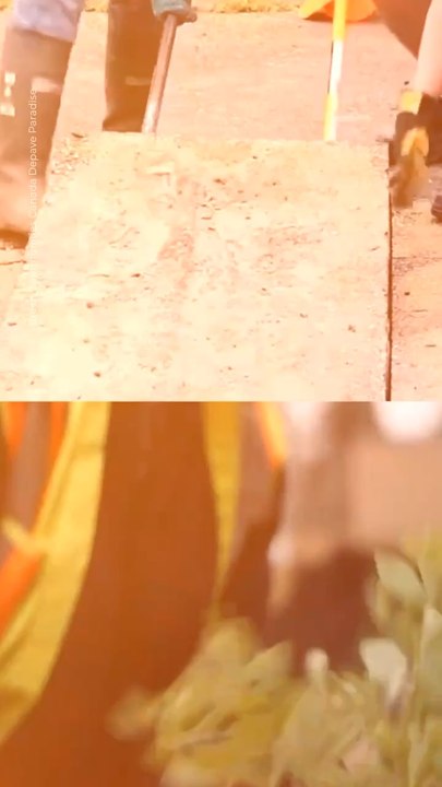 Abonne-toi pour suivre d’autres solutions positives !     @theimpactstory   Source :  Green communities Canada depave paradise #association #foret #nature #beton #militant #activiste #environnement