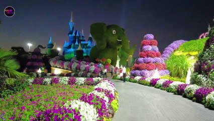 Miracle Garden Dubai: A Flower Lover's Paradise!
