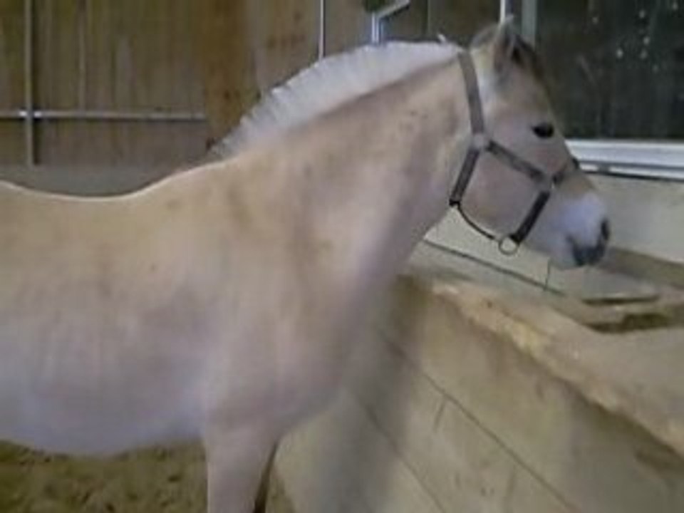 rohanne le 19 avril 2008