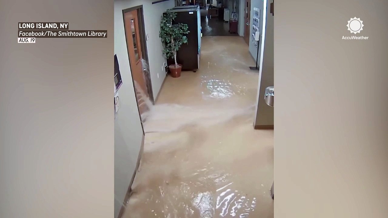 Frightening moment as walls collapse from floodwaters in New York library