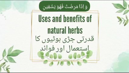 Uses And Benefits Of Natural Herbs