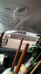 Flor Torrente deja en video su mudanza