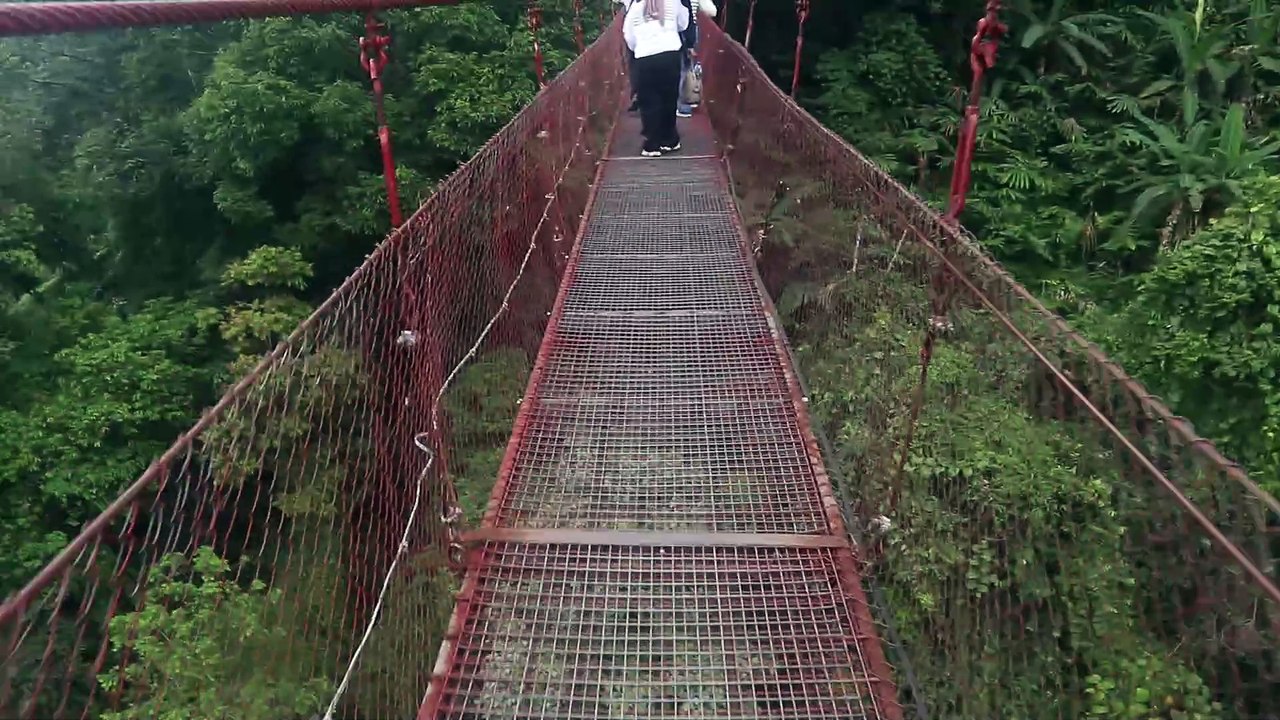 Thrilling! Crossing a Suspension Bridge 103 metres long and 70 metres high