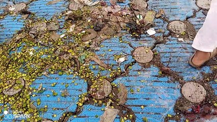 IBRAHIM HYDRI FISHRI KORANGI KARACHI