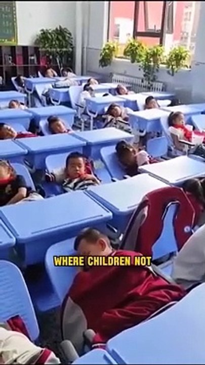 Toddler study system