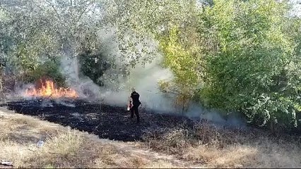 Incendio de vegetación