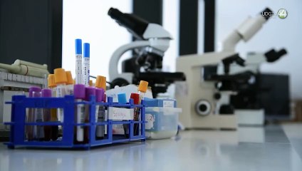 Reportan dos decesos en Bahía de Banderas por dengue