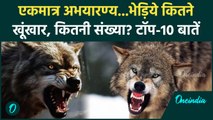 Bahraich Bhediya Attack: भेड़ियों के बारे में Top 10 बातें | Bahraich | Wolf Attack | वनइंडिया हिंदी