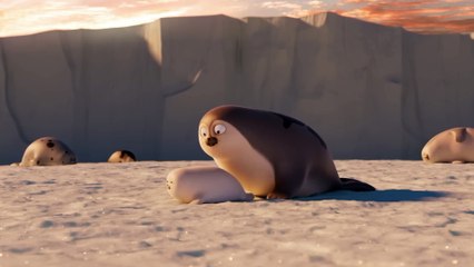 All of baby seal and gray seal