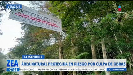 La Martinica: Un área natural protegida que se encuentra en riesgo