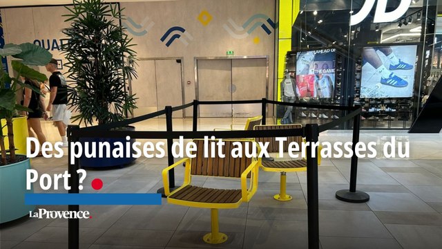 Des clients piqués par des punaises de lit aux Terrasses du Port ?
