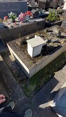 Túmulo do “Bandido da Luz Vermelha”, em cemitério de Joinville, viraliza na internet