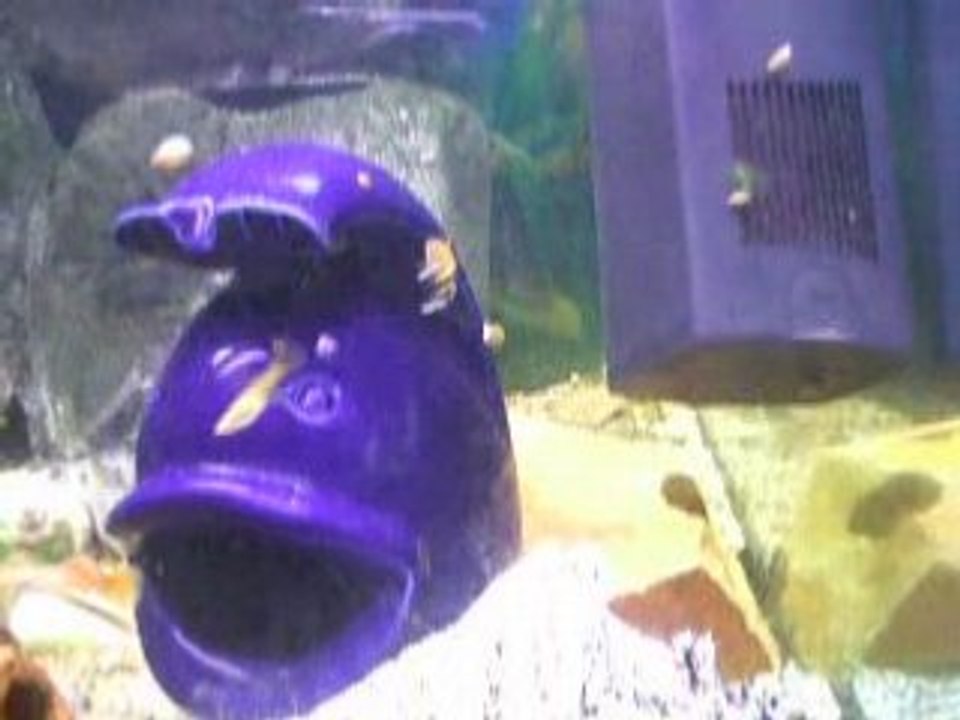 Aqua2