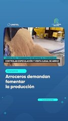 Arroceros demandan fomentar la producción