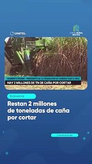 Restan 2 millones de toneladas de caña por cortar