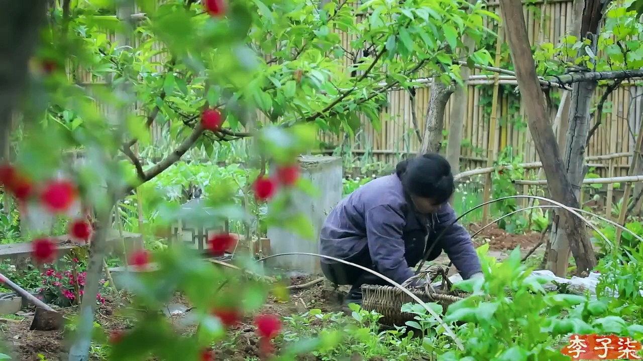 A pot of wine among watermelon fields.So…The life of watermelons and grapes-瓜间一壶酒，西瓜和葡萄的一生？丨Liziqi