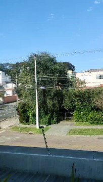 Vídeo mostra homem-aranha de Curitiba cometendo furto pendurado em cabos de alta tensão no Alto da XV; suspeito foi preso