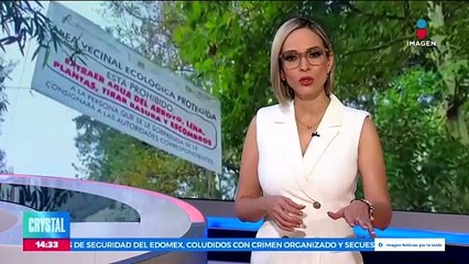 La Martinica: Área natural protegida se encuentra en riesgo