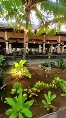 Olahraga Lari Menikmati Suasana Pantai Sanur Bali