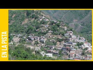 "Las semillas las podemos rescatar desde la casa " Productor de Macarao distribuye a la comunidad