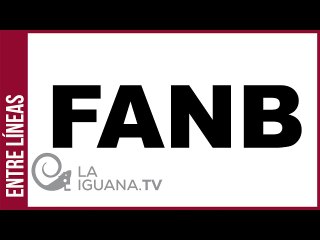¿Cuáles son las diferencias entre las FANB y otras FFAA en Latinoamérica?