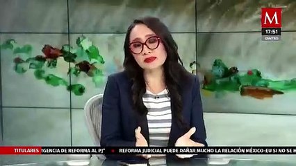 Reportan abundante presencia de la mariposa pinocho en el norte y centro del país | Milenio Hábitat