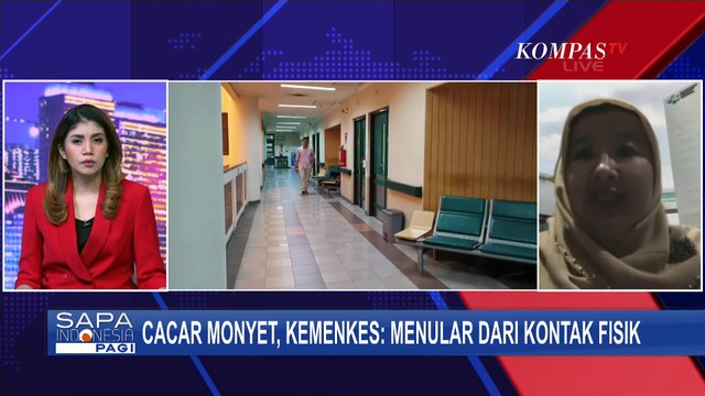 Waspada Cacar Monyet, Kemenkes Jelaskan Terkait Penularan dan Pencegahan Penularan Virus