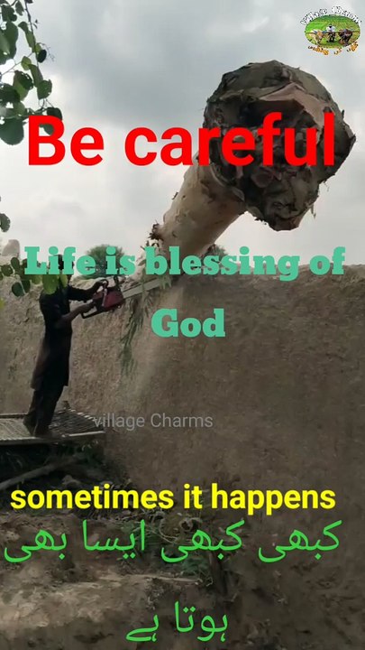 Be careful || Life is precious|| cutting of Big trees wood