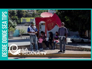 Download Video: ¿Por qué tantos migrantes venezolanos están regresando a su país?