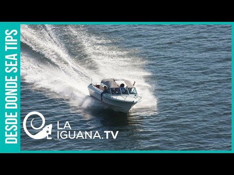 ¿Cómo llegaron las embarcaciones de guerra colombianas a Venezuela?