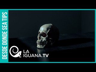 Скачать видео: Byung-Chul Han: la pandemia nos enseñó que somos sobrevivientes aterrorizados por la muerte