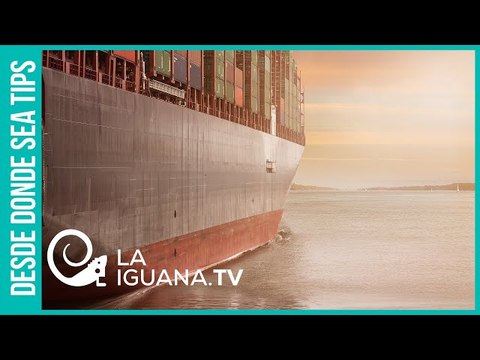 ¿Qué implica la llegada de los buques iraníes a Venezuela desde el punto de vista geoestratégico?