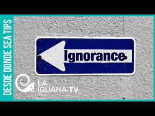 ¡Muchacho pa' bobo! Tenía rato sin hablar y salió con tremendo análisis político sobre los buques
