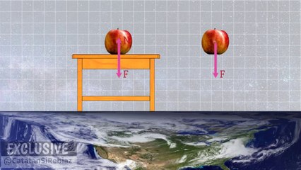 How to calculate the gravitational force of 2 objects