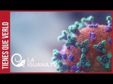 Toque de queda: Emergencia Sanitaria en Zulia por nuevo foco de coronavirus (+Horario)