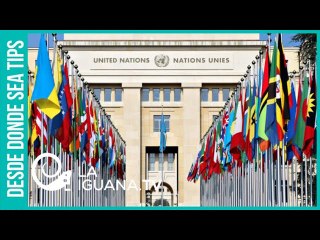 Descaro sin límites: Las instituciones internacionales amparan y encubren los robos contra Venezuela