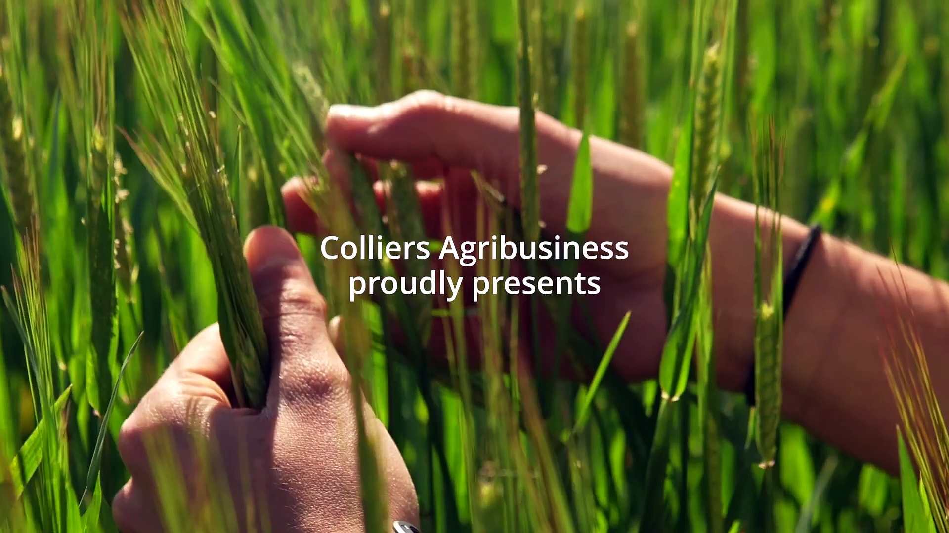 Bodallin Aggregation & Warralakin Aggregation, WA | Farm Weekly