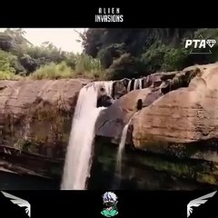 Trending Netflix Movies Shorts