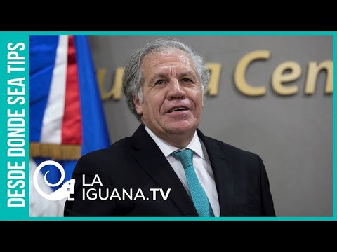¿Por qué Evo Morales confió en Almagro y a la OEA que le terminaron dando el golpe de Estado?