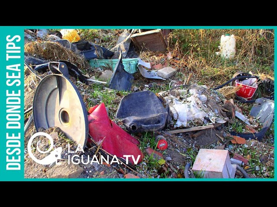 ¿Alguna duda? Desastre sanitario en Ecuador es consecuencia directa de las políticas neoliberales