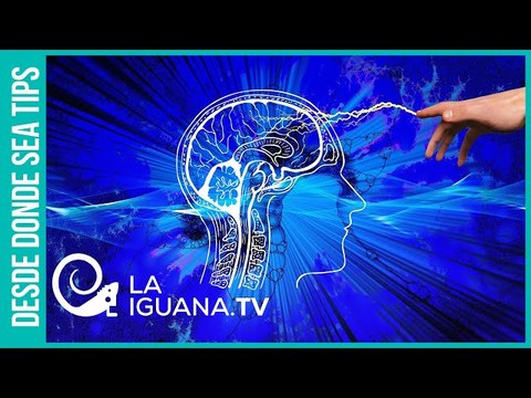 ¿Puede explotar una epidemia de daños cerebrales a gran escala? Esto dicen los científicos
