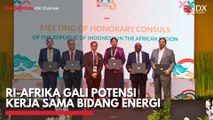 RI-Afrika Gali Potensi Kerja Sama Bidang Energi